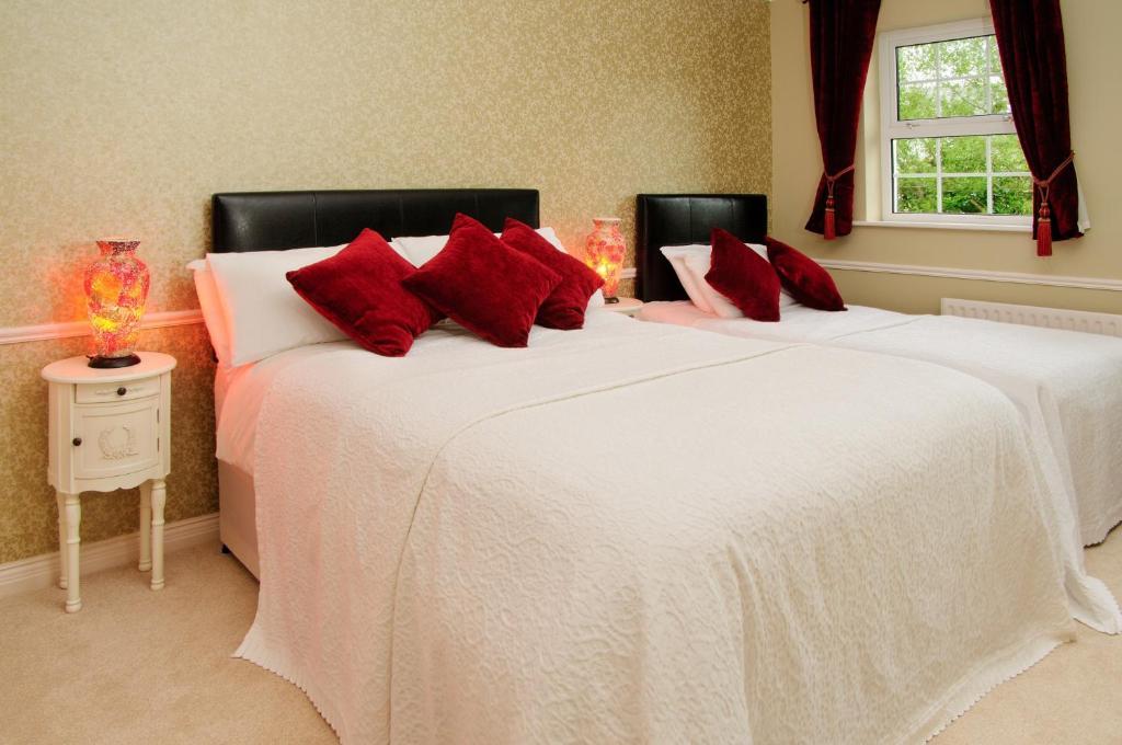 Sika Lodge Guesthouse Killarney Phòng bức ảnh