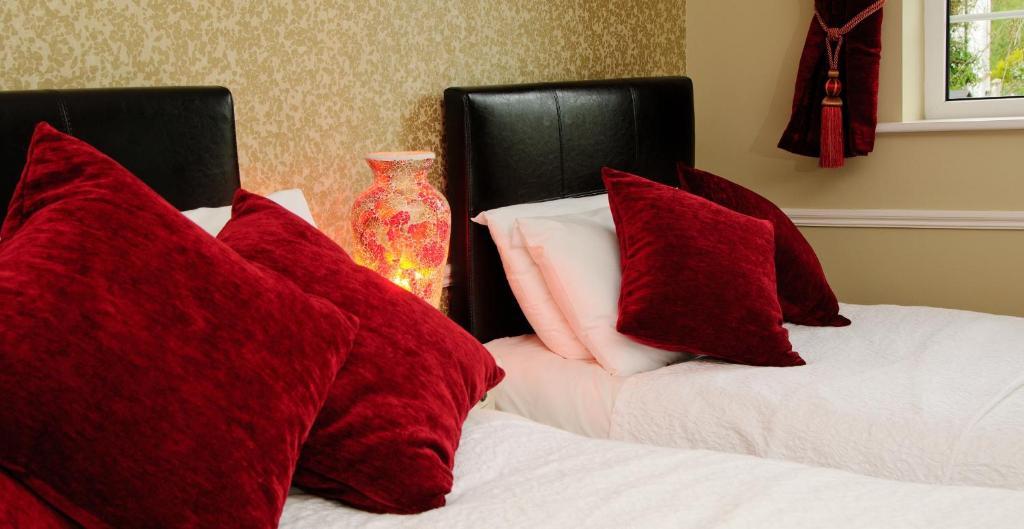 Sika Lodge Guesthouse Killarney Phòng bức ảnh